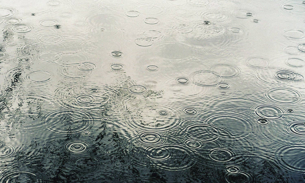 14 oz Milkbottle Candle: Dancing in the Rain
