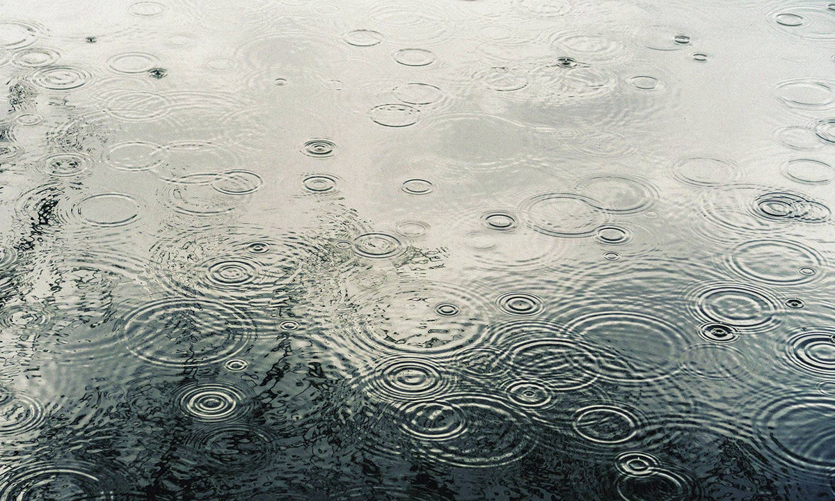 14 oz Milkbottle Candle: Dancing in the Rain